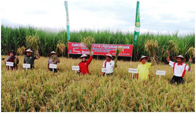 Wali Kota Probolinggo Imbau Petani Tanam Padi Organik
