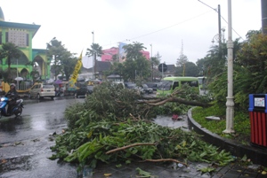Kelurahan Sisir Kota Batu Canangkan Tangguh Bencana