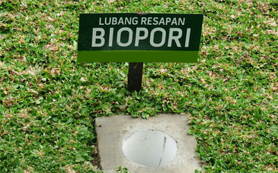 PHE WMO Pelopori Biopori di Tanjung Bumi