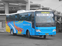 Bus Patas Batu-Surabaya Segera Beroperasi