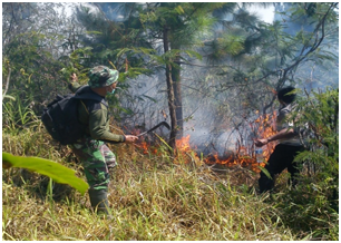 Dandim Mojokerto-Polisi Bantu Padamkan Hutan