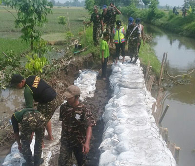 Ratusan Hektare Sawah Terendam Banjir, Bantuan Bibit Tak Jelas