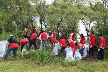 Aksi Bersih-bersih Hutan Mangrove Romokalisari