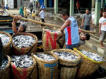 Tingkat Konsumsi Ikan Warga Bojonegoro 17,9 Kg per Tahun