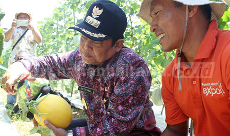 Wali Kota Pasuruan Apresiasikan Warganya Tanam Melon