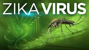 Kewaspadaan Virus Zika