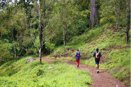 Banyuwangi Ijen Green Run, Wisata sambil Olahraga
