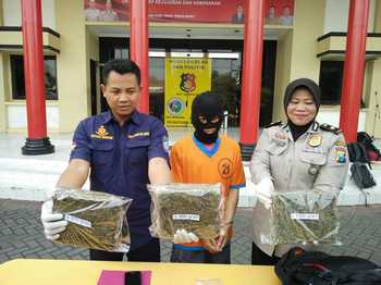 Polisi Amankan 3 Kilogram Ganja Jaringan Lapas Nusa Kambangan