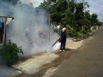 Ribuan Warga Kab.Malang Terserang Demam Dengue