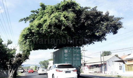 Waspada, H+1 Lebaran Terjadi Kepadatan Kendaraan di Jalur Wisata Surabaya-Malang