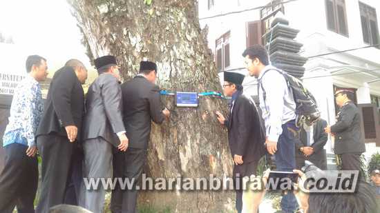 Pemerintah Kota Malang Identifikasi Kesehatan Pohon