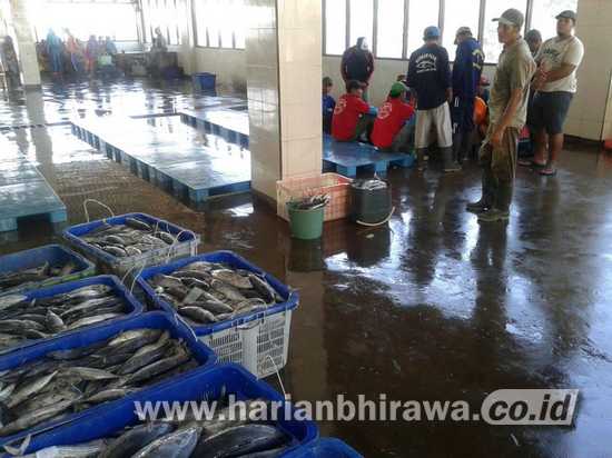 Produksi Ikan di Pantai Sendangbiru Kab.Malang Turun 18 Persen