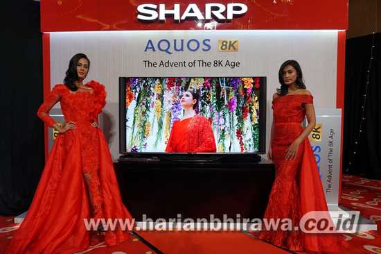 5-FOTO B 21-riq-Sharp TV 4K