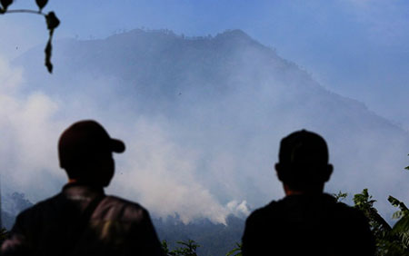 Kebakaran di Ijen dan Ranti Capai 1.000-an Hektare