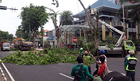 Antisipasi Cuaca Buruk, Pemkot Surabaya Kebut Pemangkasan Pohon