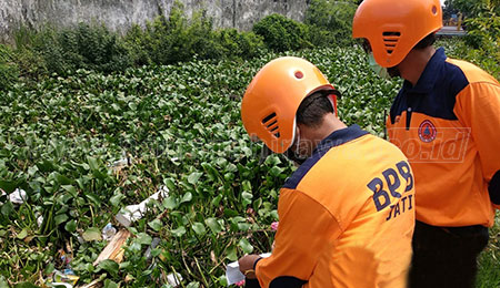 Cegah Banjir, BPBD Bersih-bersih Kali Buntung