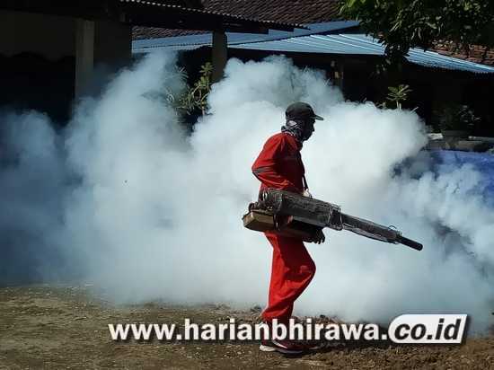 Demam Chikungunya Mewabah di Kelurahan Kapas Kabupaten Nganjuk