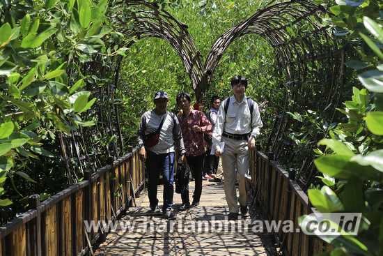 Pemkot Surabaya Gandeng Kitakyushu Teliti Ekosistem Mangrove