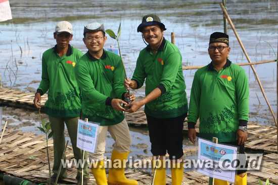 Pemerintah Kabupaten Gresik Tanam 10 Ribu Mangrove di Mengare