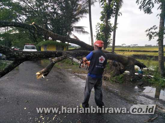 Jumlah Kejadian Bencana di Kabupaten Malang Diprediksi Meningkat