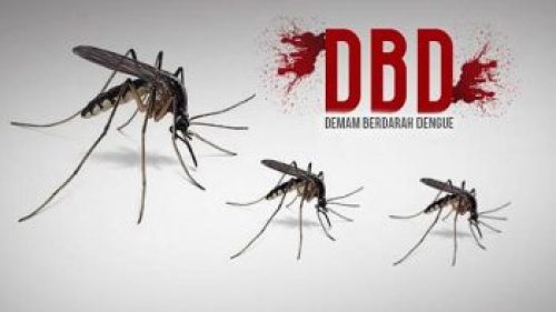 Januari-April, Puluhan Warga Kabupaten Bojonegoro Terserang DBD