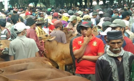 Wali Kota Probolinggo Tutup Pasar Sapi Wonoasih