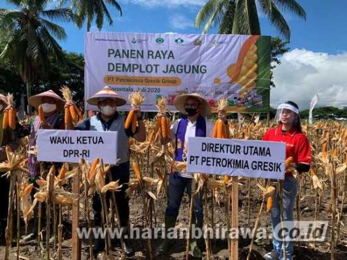 10-kim Petrokimia Jadikan Gorontalo Sebagai Lumbung Pangan Nasional Bagian Timur Di Tengah Pandemi Covid-19 C