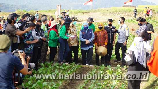 Gubernur Jatim Launching Paralayang dan Agro Wisata Petik Sayur