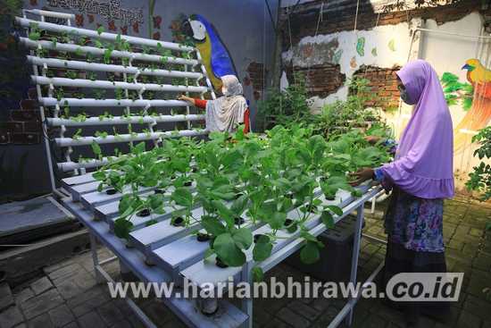 Pemkot Surabaya Bantu Masyarakat Pasarkan Produk Urban Farming