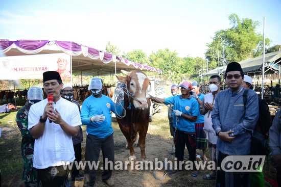 Pengacara Ahmad Rifai Qurban 100 Sapi dan 1000 Kambing di Jombang