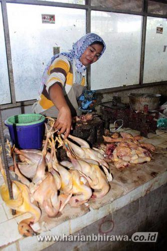 Jelang Maulid Nabi, Harga Ayam Naik di Kota Pasuruan