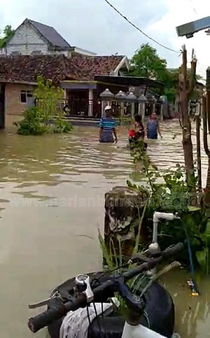 Kali Lamong Meluap, Gresik Selatan Terendam Banjir