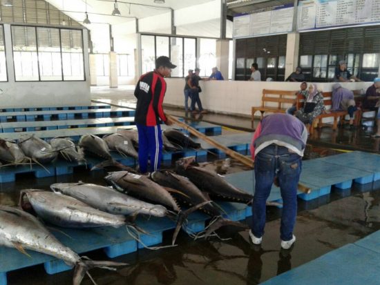 Musim Paceklik, Nelayan di Malang Selatan Beralih Jadi Buruh Tani