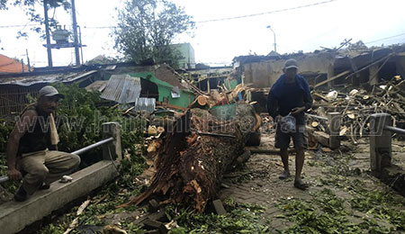 Pohon Tumbang, Lima Kios Rusak, Satu Pedagang Terluka