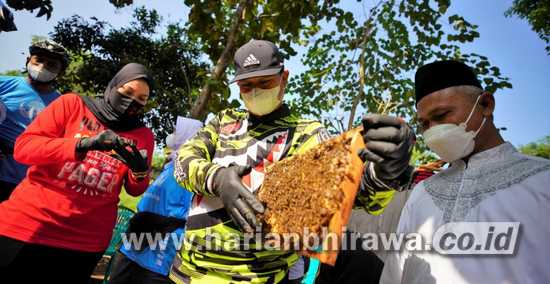 Wali Kota Madiun Kenalkan Proses Budidaya Lebah Madu