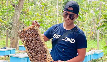 Rofi Dwi Segara, Marinir yang Sukses Budidaya Lebah Madu