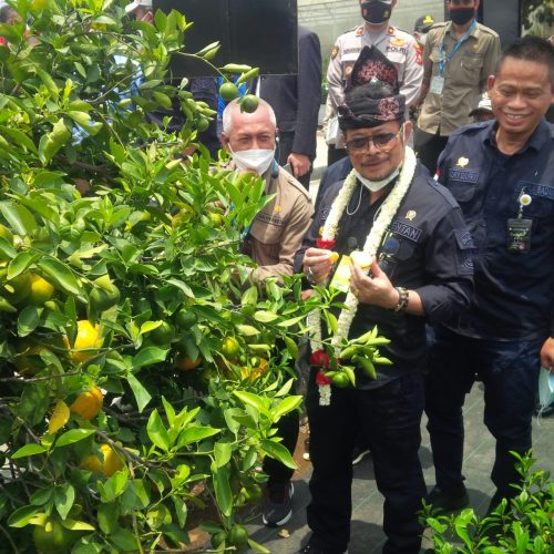 Menteri Pertanian Minta Balitjestro Batu Penuhi Kebutuhan Nasional Bibit Jeruk