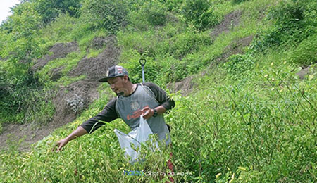 Agung Hariyanto, Pemuda Penggagas Tanaman Cabai di Lahan Tanah Kritis