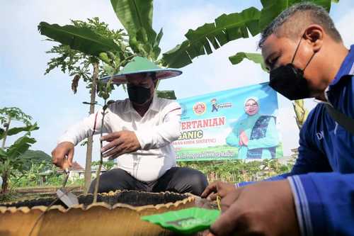 Wali Kota Madiun Demontrasikan Pertanian Terraganik