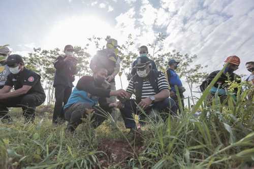 Peduli Lingkungan, JSC Dinas Sosial Jawa Timur Tanam 1.500 Bibit Pohon