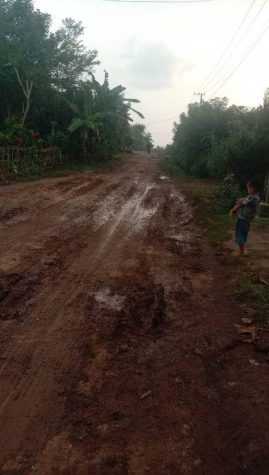 Jalan Berlumpur di Desa Purworejo Belum Dapat Perhatian Pemkab Malang