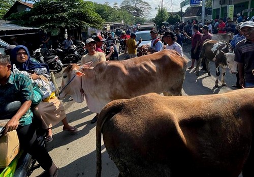 Pasar Hewan Ditutup, Pedagang Pilih Berjualan di Pinggir Jalan
