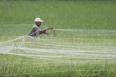 Dinas Pertanian Jatim Siap Jalankan Kebijakan Pupuk Subsidi