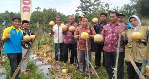 DKPP Kabupaten Pamekasan Fasilitasi Kebutuhan Pengembangan Holtikultura