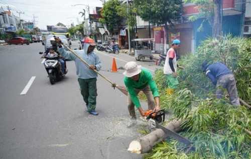 Antisipasi Pohon Tumbang, Disperkim Kota Madiun Pangkas Pohon