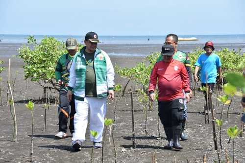 Turunkan Emisi Gas Rumah Kaca, Pemkab Situbondo Tanam Mangrove di Pantai Kampung Blekok