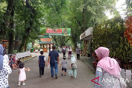 20-1-Kebun-Binatang-Surabaya-Masih-Lakukan-Pemetaan-Area-‘Night-Zoo’