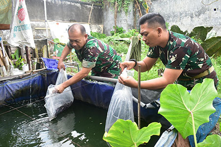 Perkuat Ketahanan Pangan, Kodim 0815/Mojokerto Budidaya Ikan Air Tawar