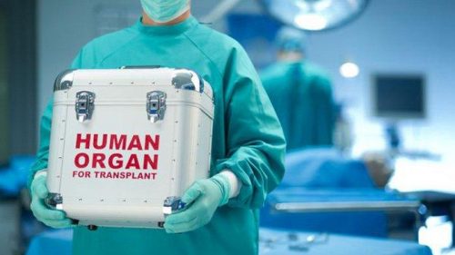 Perdagangan Organ Tubuh