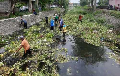 Dinas PUPR Jombang Angkat Eceng Gondok dan Normalisasi Sungai